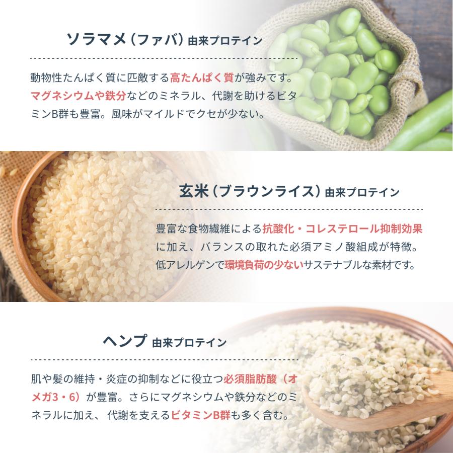 ヴィーガンプロテイン Plant-Based Vegan Protein ソイプロテイン 600g 5種の植物性 Dr. MiCHAEL タンパク質 大豆・玄米・ソラマメ等 国内製造 DMS-PRO001 | Dr.MiCHAEL | 06