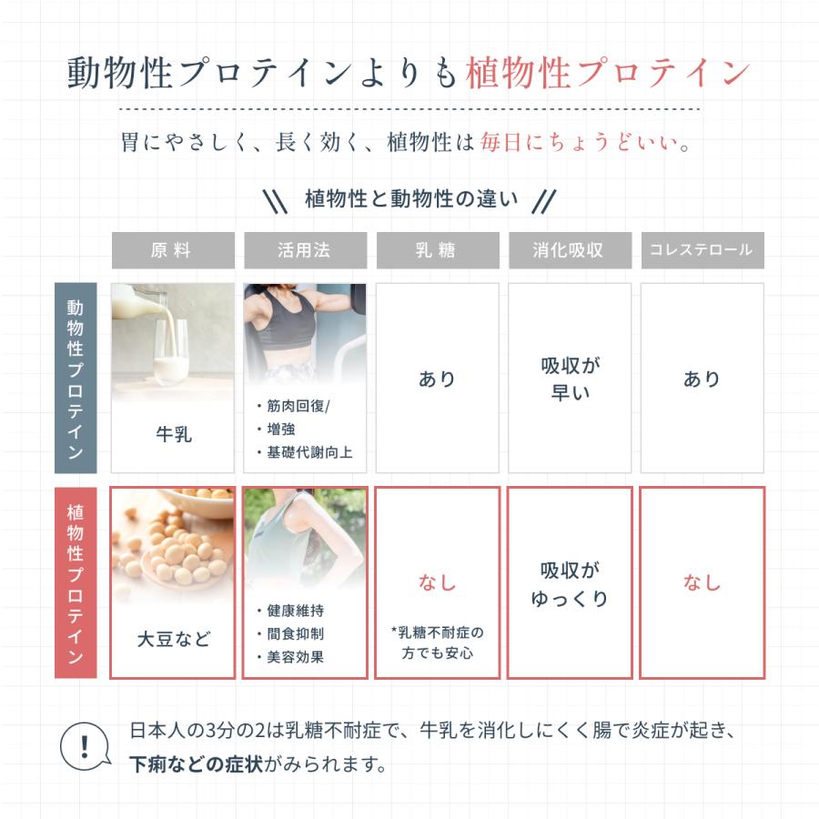 ヴィーガンプロテイン Plant-Based Vegan Protein ソイプロテイン 600g 5種の植物性 Dr. MiCHAEL タンパク質 大豆・玄米・ソラマメ等 国内製造 DMS-PRO001 | Dr.MiCHAEL | 08