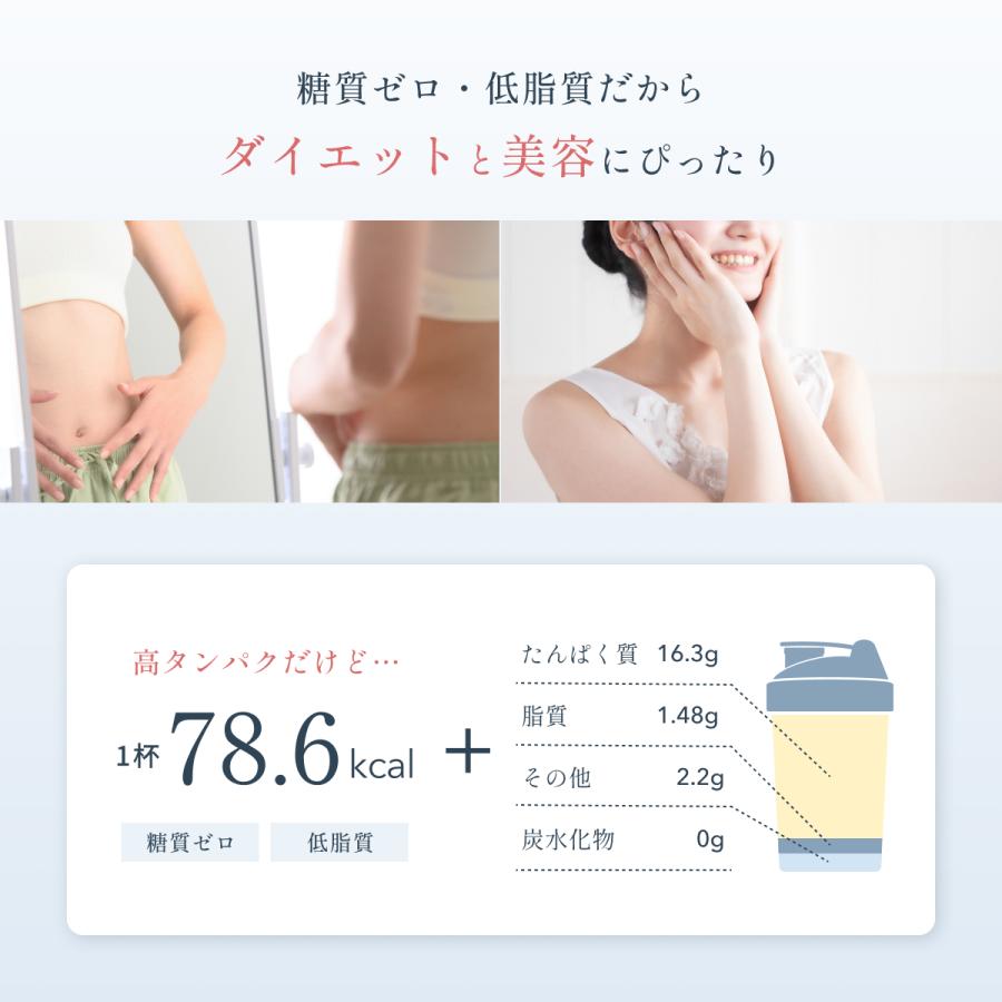 ヴィーガンプロテイン Plant-Based Vegan Protein ソイプロテイン 600g 5種の植物性 Dr. MiCHAEL タンパク質 大豆・玄米・ソラマメ等 国内製造 DMS-PRO001 | Dr.MiCHAEL | 09