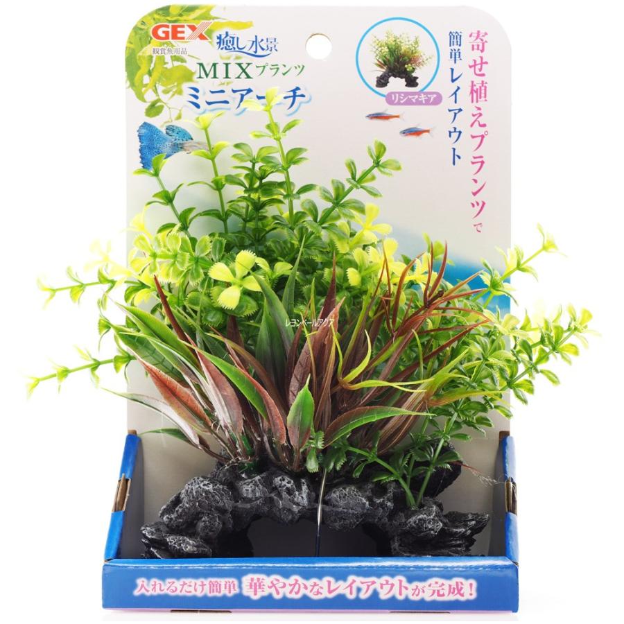 在庫有り 即ok Gex 癒し水景 Mixプランツ ミニアーチ リシマキア 新商品 レヨンベールアクア 通販 Yahoo ショッピング