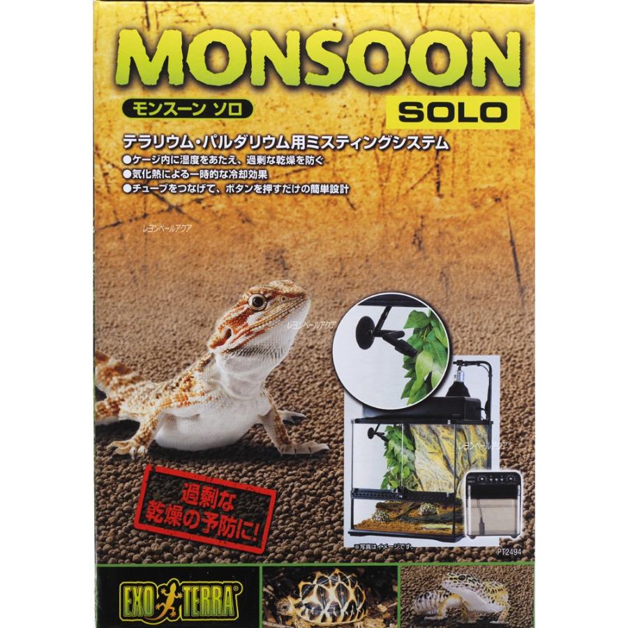 GEX（ジェックス） 【全国送料無料】 エキゾテラ モンスーンソロ