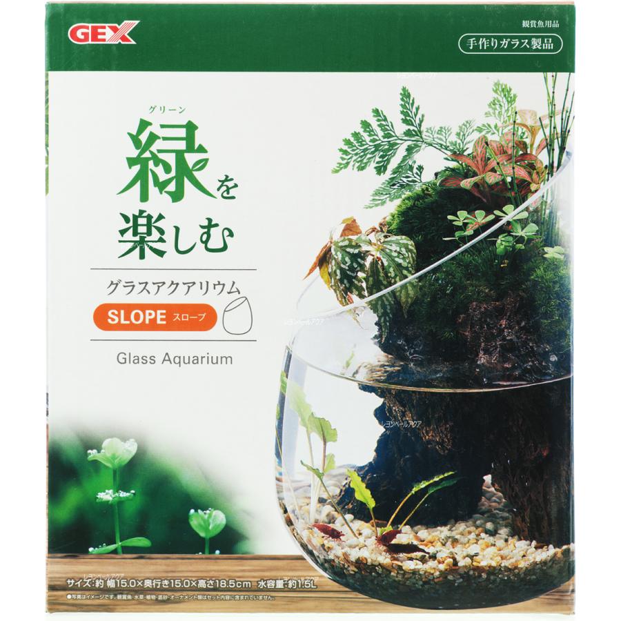 引き出物 全国送料無料 GEX ラクテリア ホワイト 白 新商品 discoversvg.com 引き出物 全国送料無料 GEX ラクテリア ホワイト 白 新商品 discoversvg.com