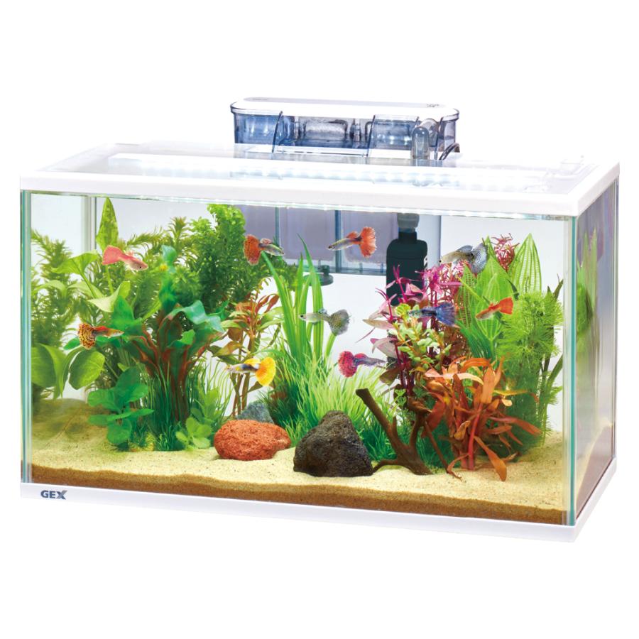 GEX 水槽セット スリムアクアセット500 DC-X M3 リニューアル品 GEX 水槽セット スリムアクアセット500 DC-X M3 リニューアル品