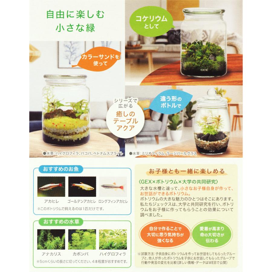 在庫有り 即ok Gex ボトリウム ネイチャーセット ブラック 新商品 レヨンベールアクア 通販 Yahoo ショッピング