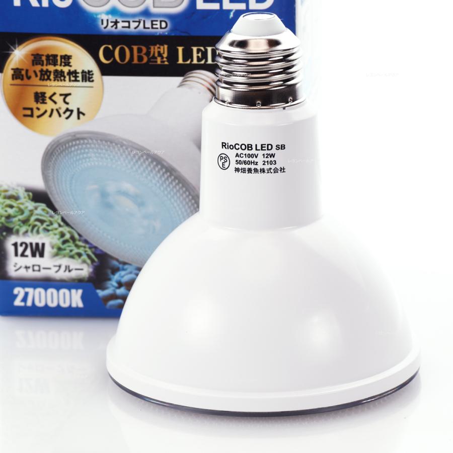 カミハタ 【全国送料無料】 リオコブ LEDシャローブルーRio COB LED12W