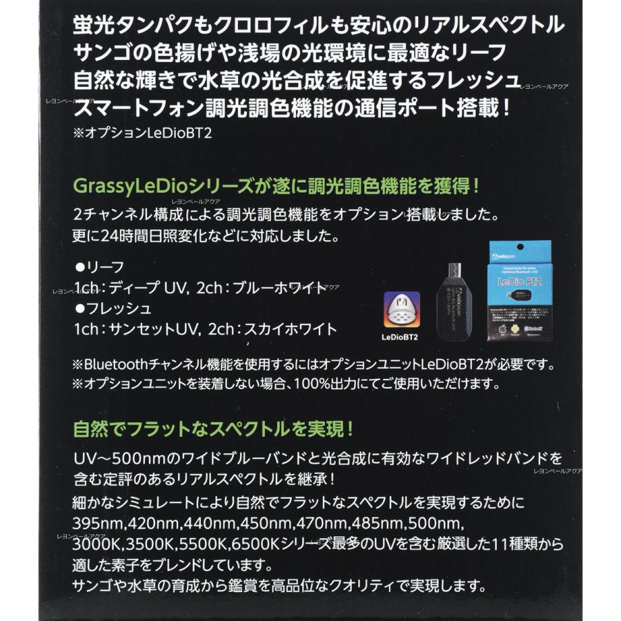 volxjapan（ボルクスジャパン） 【全国送料無料】 ボルクス 限定