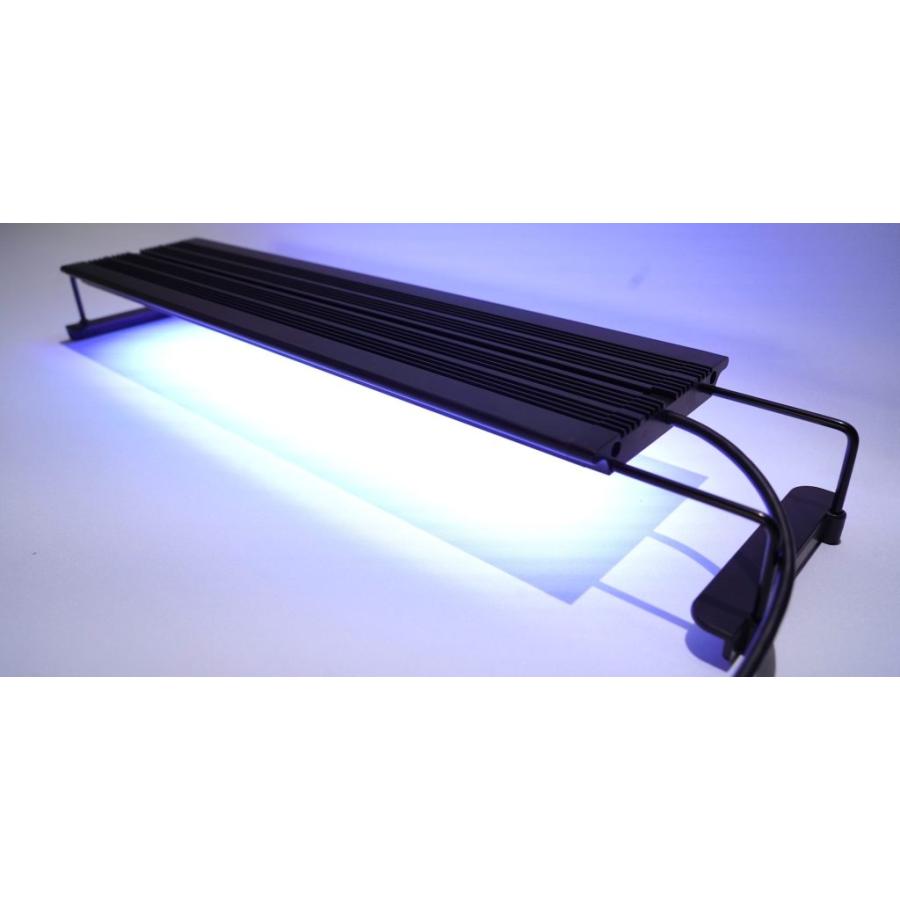 ボルクス グラッシーレグナマリン 60 GrassyLegna Marine60 60cm ボルクス グラッシーレグナマリン 60 GrassyLegna Marine60 60cm