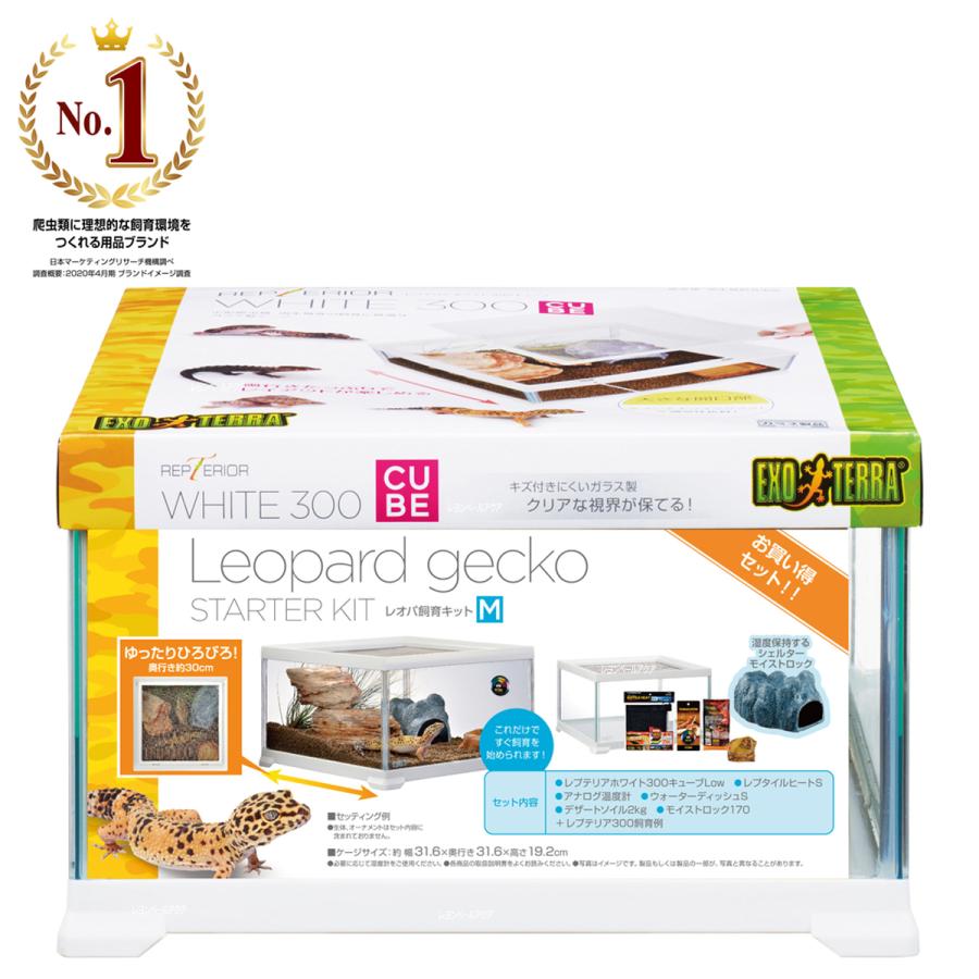 トラスト 全国送料無料 Gex レプテリア レオパ飼育キットm Dprd Jatimprov Go Id