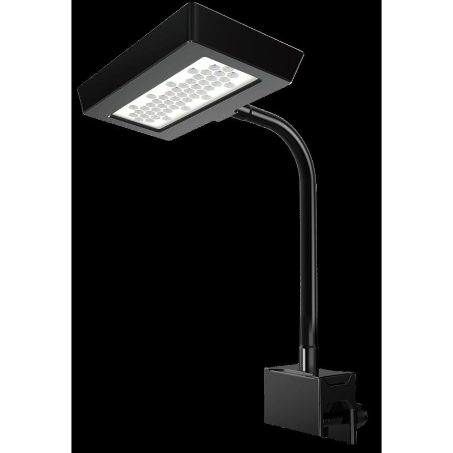 全国送料無料】 ZOOX ゾックス オプティマス リーフナノ3