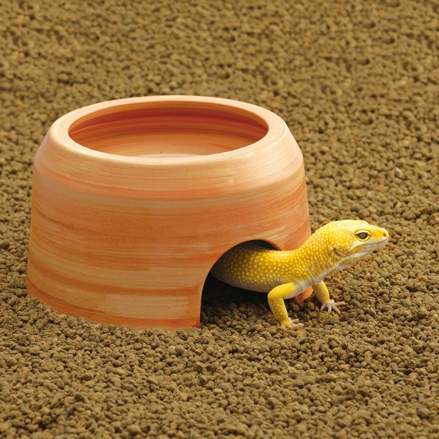 スドー 【全国送料無料】 ウェットシェルター極 L : レヨンベール