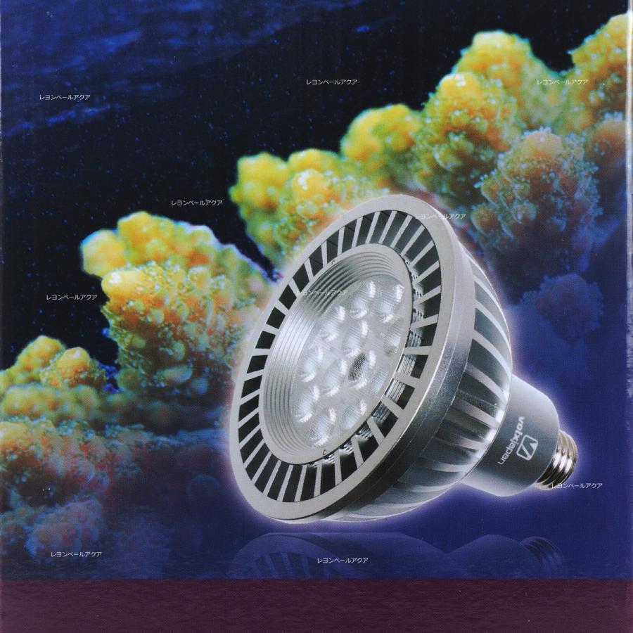 volxjapan 【全国送料無料】 ボルクスジャパン グラッシー