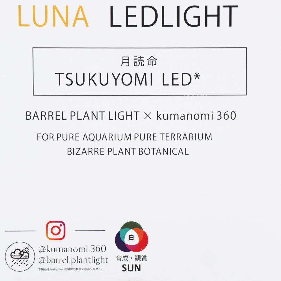 BARREL バレル ツクヨミ10W ゴールド 2個セット BARREL TSUKUYOMI 10W