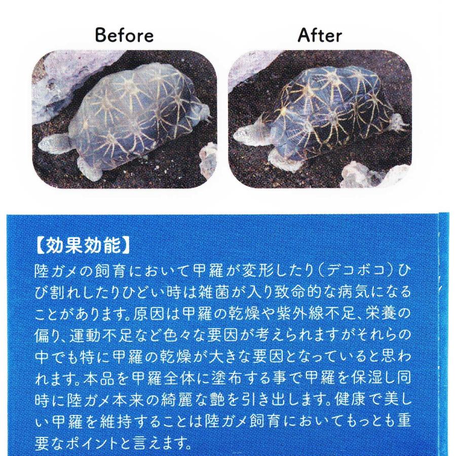 Zicra（ジクラ） 【全国送料無料】 ジョジョ スピラー 03 陸ガメ甲羅