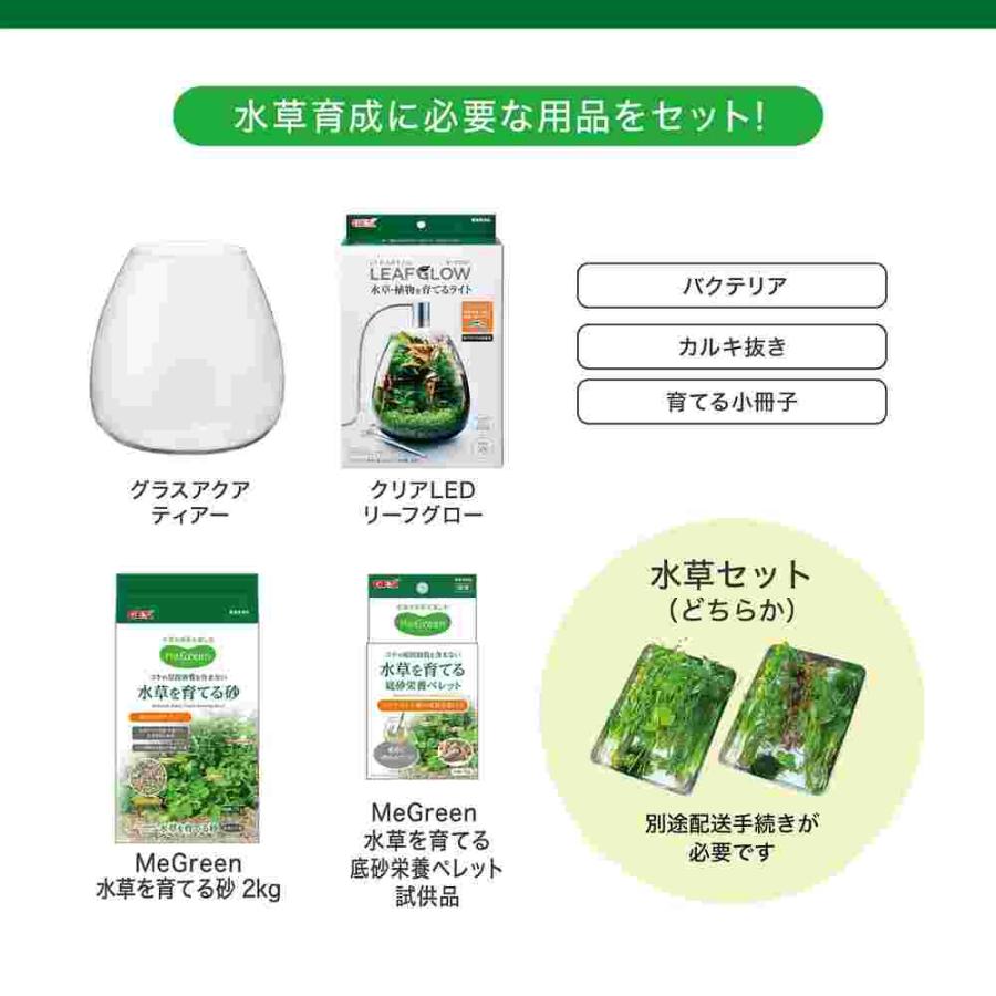 【全国送料無料】 GEX MeGreen メグリーン 新鮮な水草付き グラスアクア ティアーセットの画像