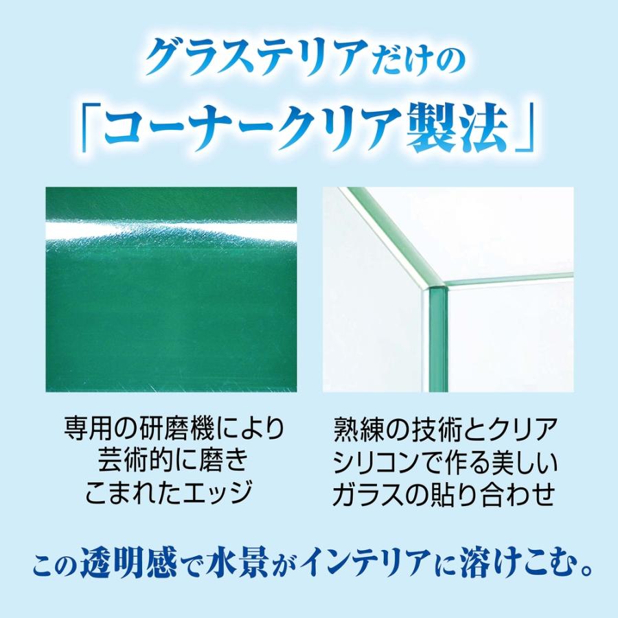 GEX（ジェックス） 【全国送料無料】 グラステリアFL200 ガラス水槽
