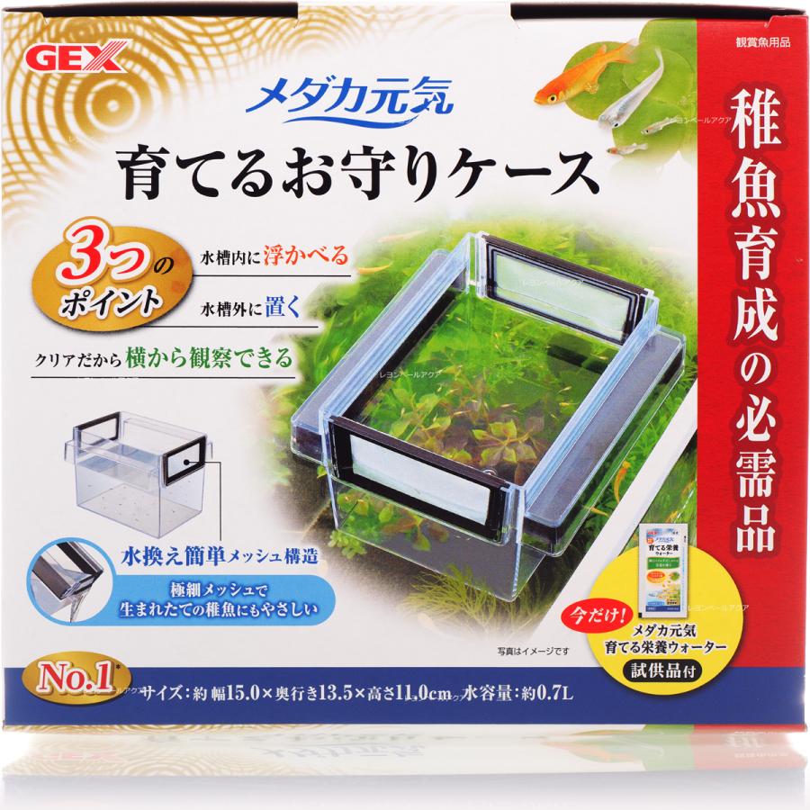 在庫限り GEX メダカ元気 育てるお守りケース 新商品 sakata.com.ru