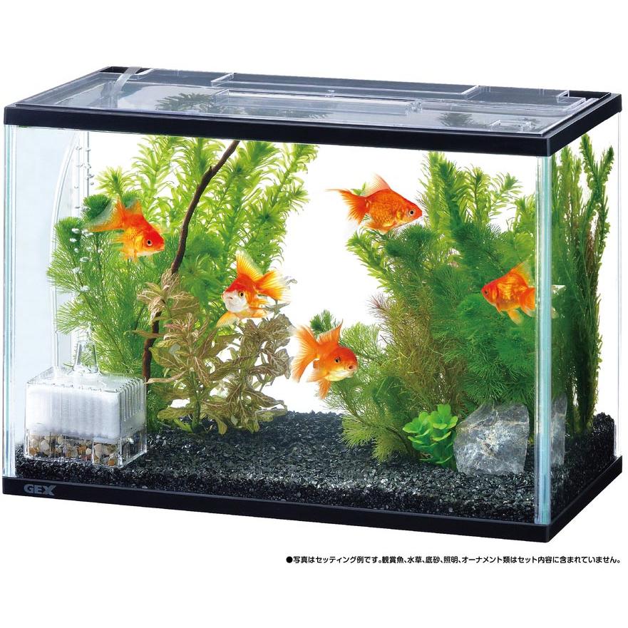 新品 GEX AQUA-U WIDE ブラックインテリア水槽15L GEX aquarista AQUA-U WIDE 2.0 Black | ジェックス株式会社