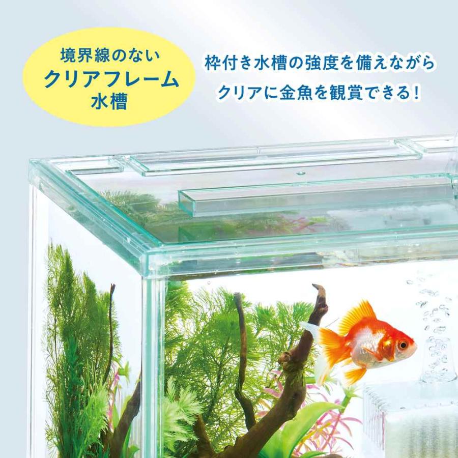 GEX（ジェックス） 【全国送料無料】 金魚元気 ぶくぶくクリア 250