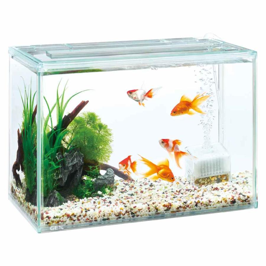 GEX（ジェックス） 【全国送料無料】 金魚元気 ぶくぶくクリア 400