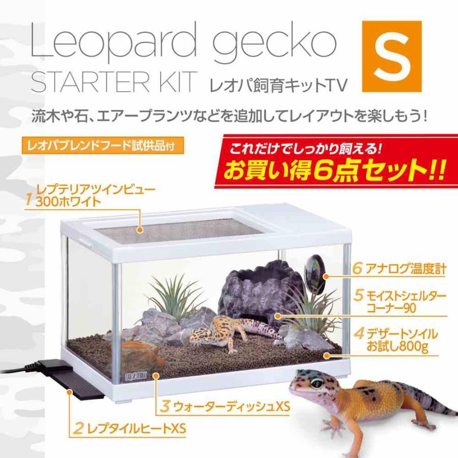 全国送料無料】 GEX エキゾテラ レプテリア レオパ飼育キットS TV