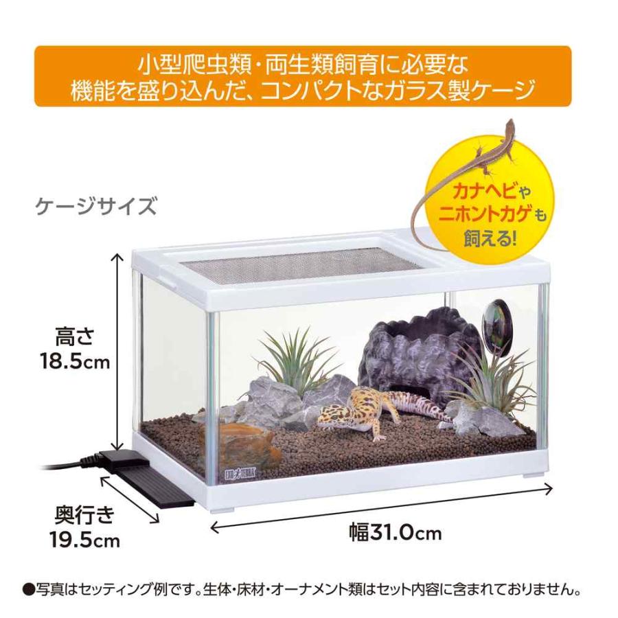 全国送料無料】 GEX エキゾテラ レプテリア レオパ飼育キットS TV