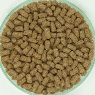 イースター 【全国送料無料】 ハムスターセレクションプロ