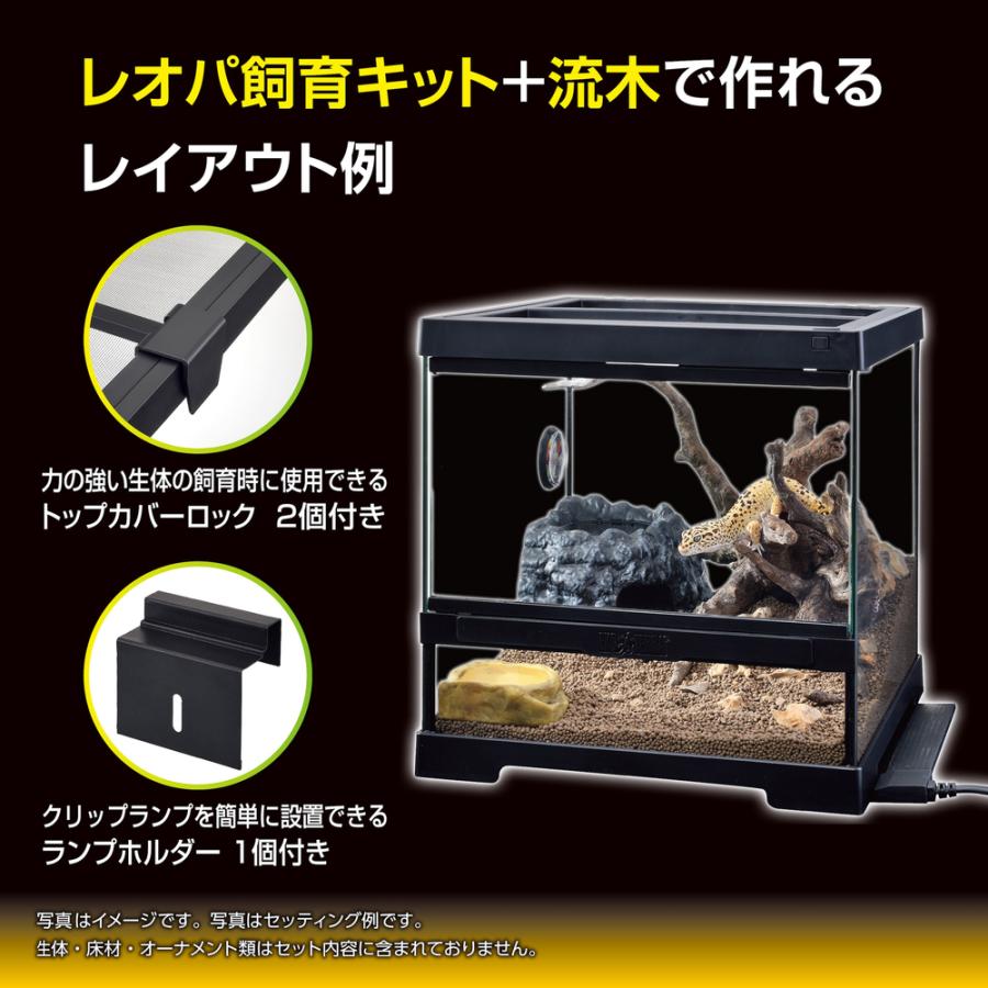 GEX（ジェックス） 【全国送料無料】 レオパ飼育セットGTP3030 新商品