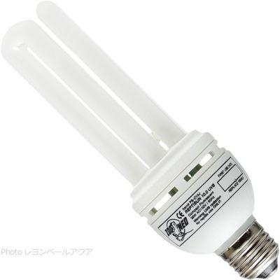 ZOOMED（ズーメッド） 【全国送料無料】 ズーメッドジャパン