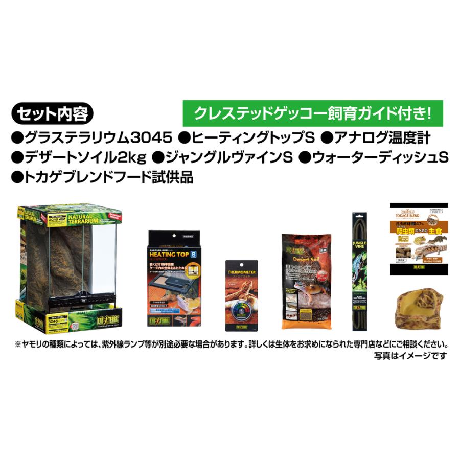 GEX 【全国送料無料】 エキゾテラ ゲッコー飼育キットGT3045
