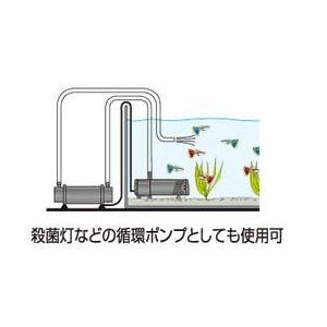 GEX e〜ROKA イーロカ PF381青 お取り寄せ中 | GEX | 02