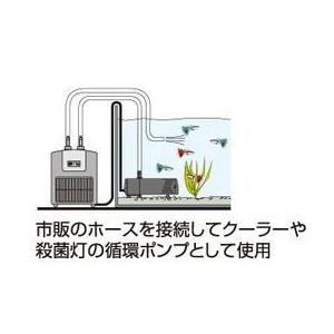 GEX e〜ROKA イーロカ PF381青 お取り寄せ中 | GEX | 03