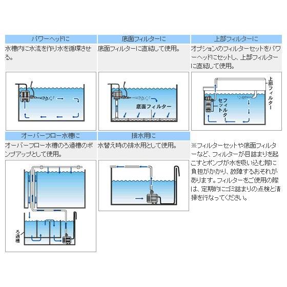 カミハタ パワーヘッドポンプ リオプラス50 60Hz西日本仕様|rayonvertaqua|05