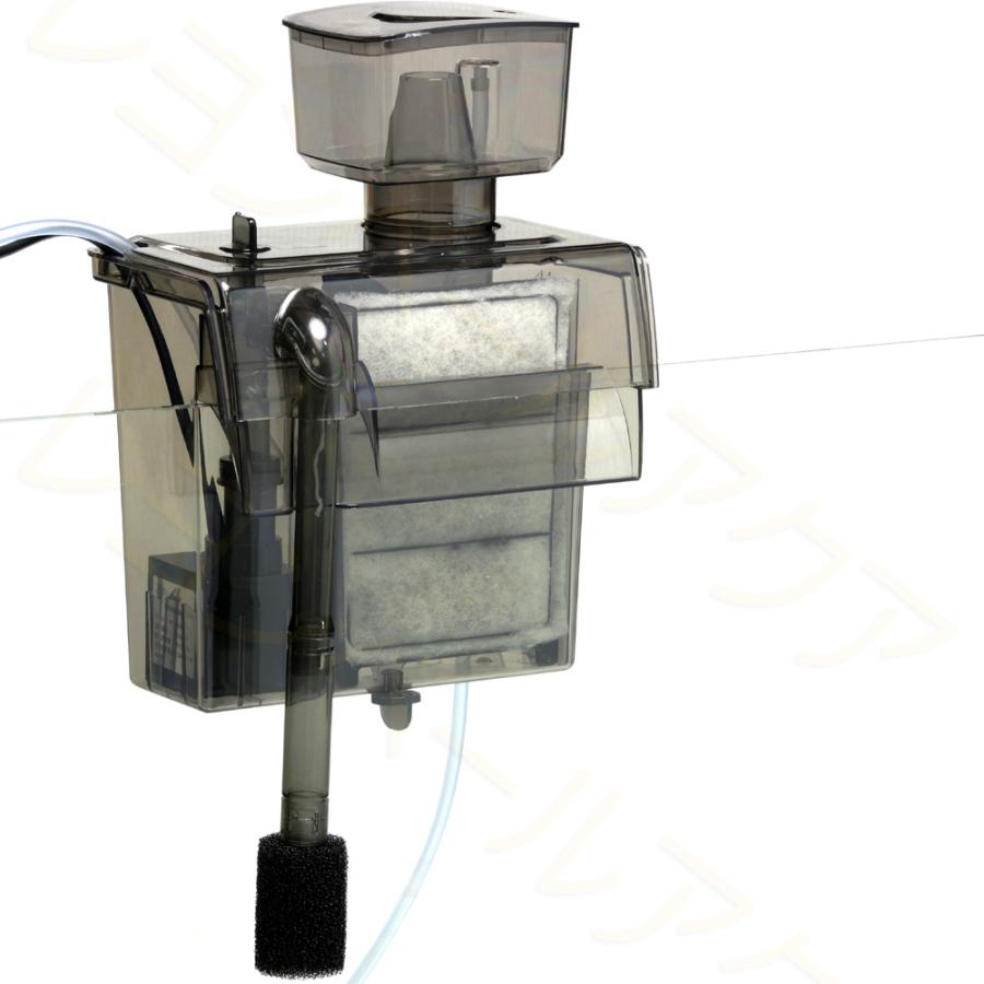 カミハタ 【全国送料無料】 海道河童フィルター 大 本体 プロテイン