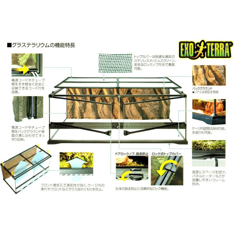 GEX 【全国送料無料】 エキゾテラ グラステラリウム 4530 PT2603 GEX 【全国送料無料】 エキゾテラ グラステラリウム 4530 PT2603