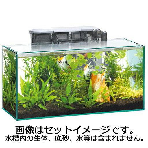 【全国送料無料】 GEX グラステリアスリム 450 6点セット|rayonvertaqua|02