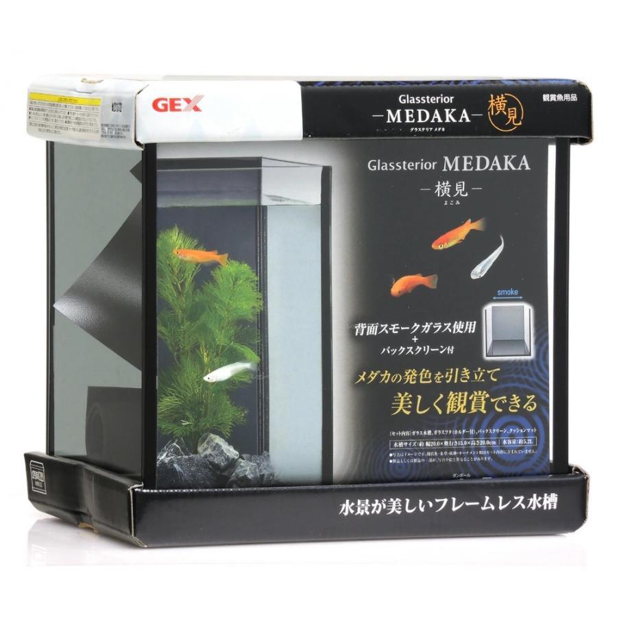 GEX（ジェックス） 【全国送料無料】 グラステリア メダカ 横見