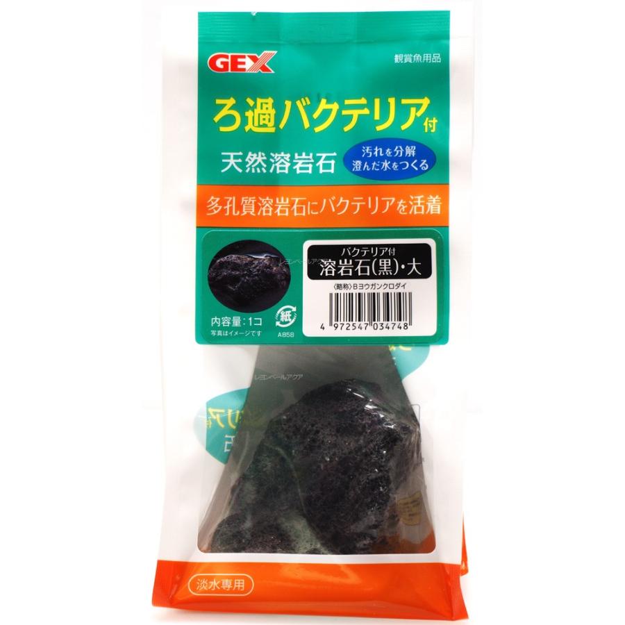 Gex バクテリア付 溶岩石 黒 大 淡水専用 新商品 全国送料無料 レヨンベールアクアpaypayモール店 通販 Paypayモール