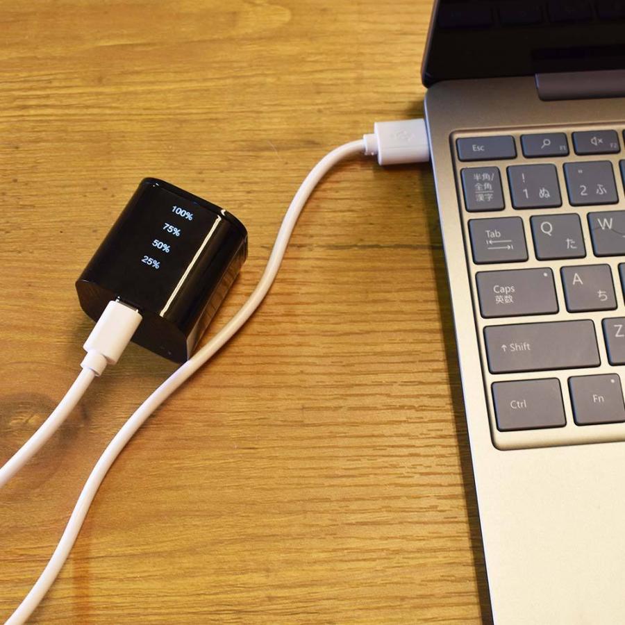 レイウッド エアブラシ デルタRS-1 充電式 コンプレッサー セット 塗装 持ち運び ダブルアクション 自動電源 オートスイッチ 塗料 カップ 一体型 0.3 口径 | PROFIX | 17