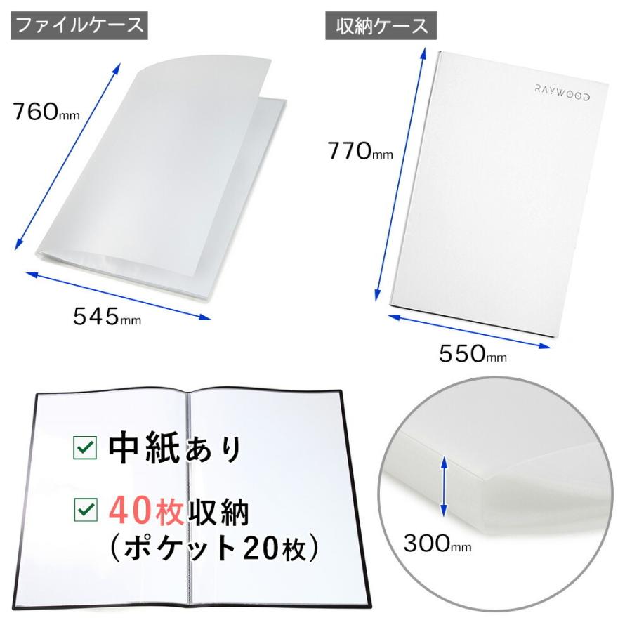 WPL JAPAN RAYWOOD B2 ポスターファイル ケース 中紙あり 保管用収納
