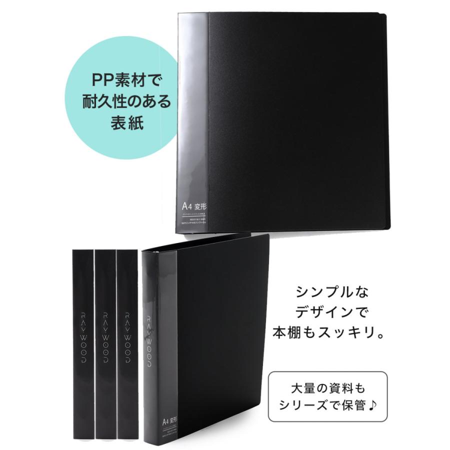 ZARD 切り抜き ファイル WPL JAPAN RAYWOOD A4変形ワイド マガジンファイル 雑誌