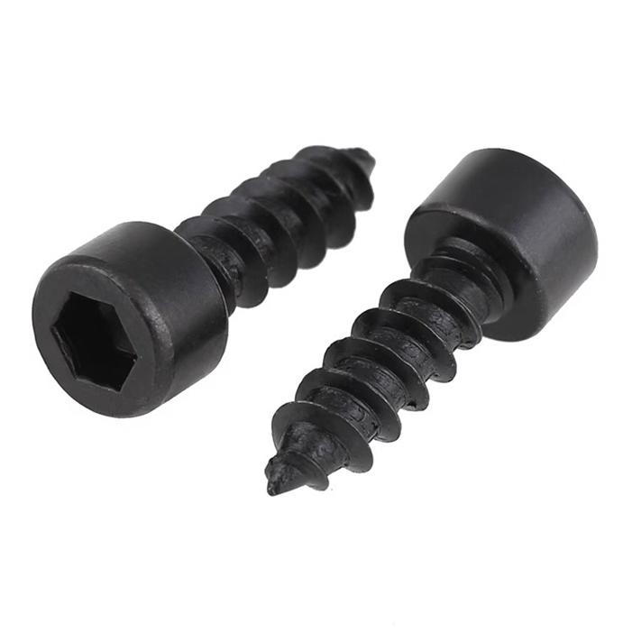 STP20610 M2*6　六角穴付きセルフタッピングビス　10本入り | 