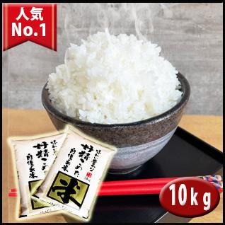 5年産  埼玉でとれたお米10kg( 5kg×2袋)白米 送料無料 埼玉県産｜rc-kaneko