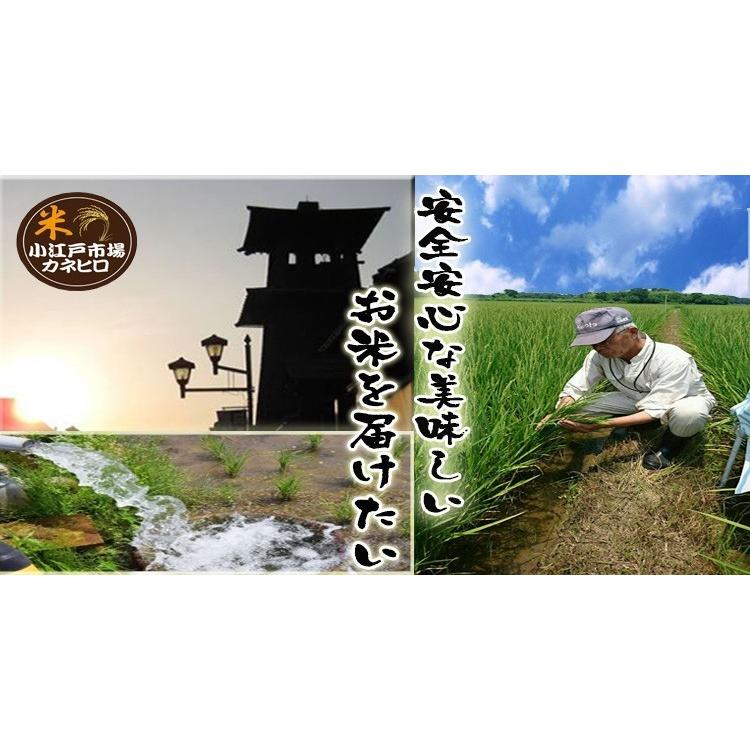 5年産  埼玉でとれたお米10kg( 5kg×2袋)白米 送料無料 埼玉県産｜rc-kaneko｜04