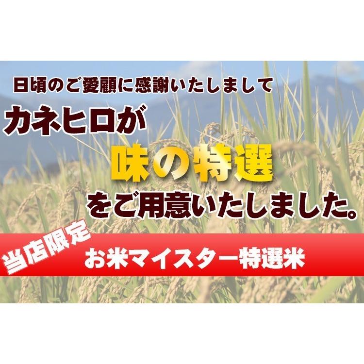 5年産  埼玉でとれたお米10kg( 5kg×2袋)白米 送料無料 埼玉県産｜rc-kaneko｜08