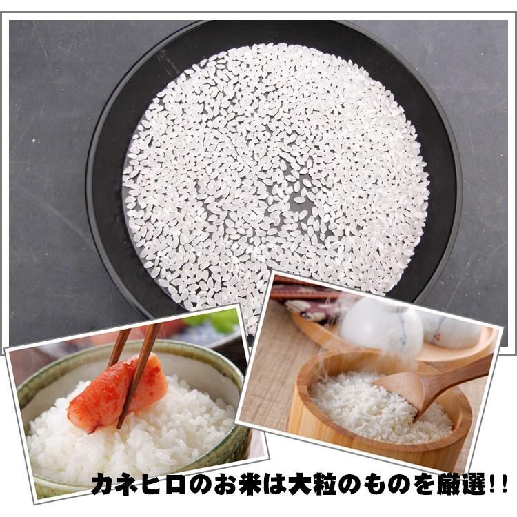 6年産 無洗米 彩のきずな10kg 5kg×2袋 白米 送料無料 埼玉県産