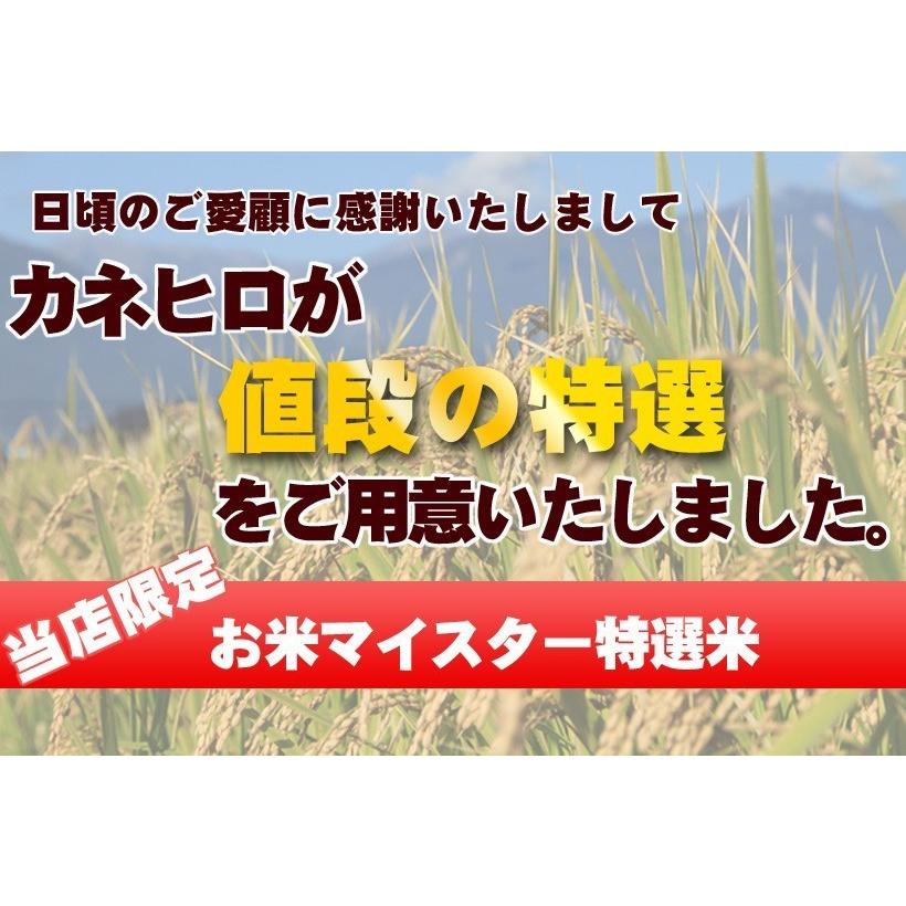 5年産 無洗米 彩のきずな10kg  5kg×2袋 白米 送料無料 埼玉県産｜rc-kaneko｜08