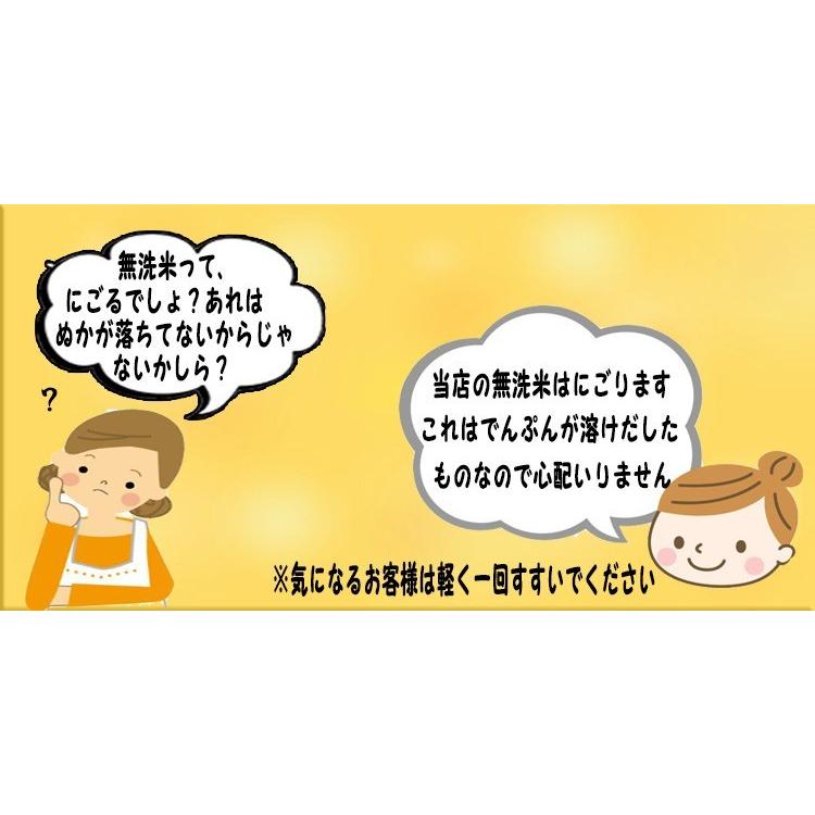 5年産  無洗米 5kg 埼玉県産 送料無料　｜rc-kaneko｜05