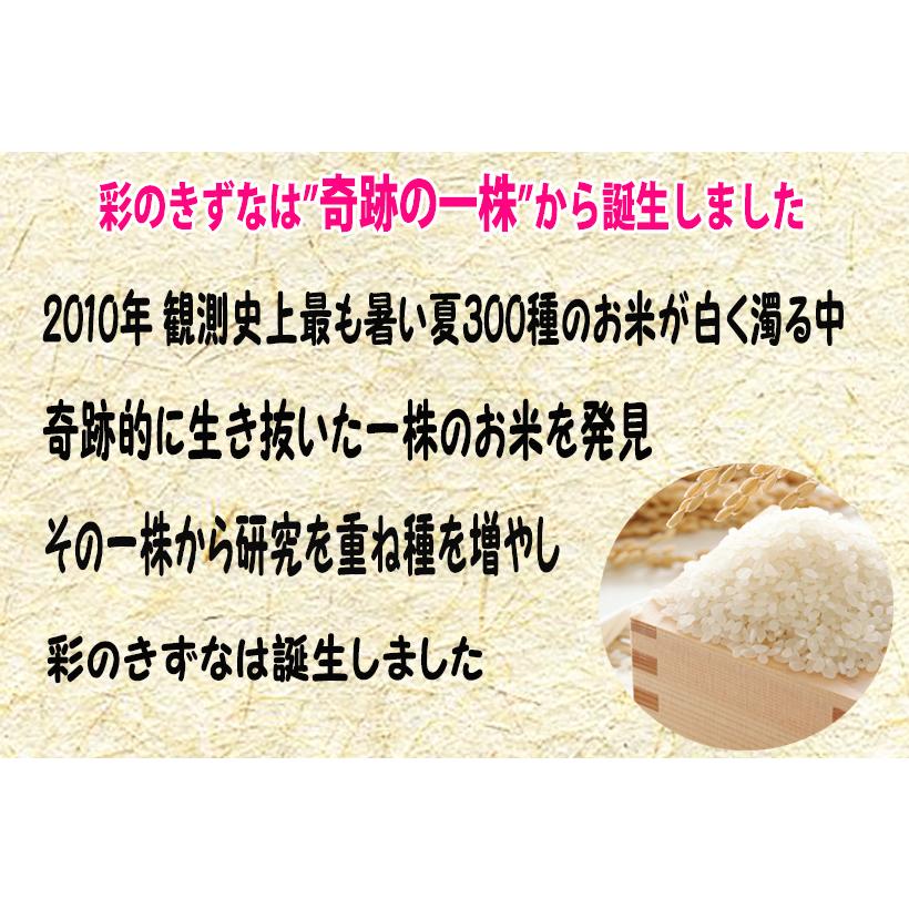 5年産  米10kg 彩のきずな (5kg×2袋) 埼玉県産 白米｜rc-kaneko｜04