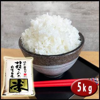 埼玉でとれたお米5kg  白米 埼玉県産 送料無料