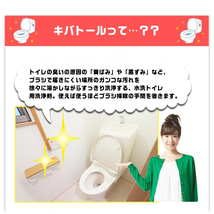UYEKI ウエキ キバトール 詰替 100gトイレ 消臭 掃除 悪臭 尿石 便器 汚れ 防止 尿石除去剤 除去剤 強力洗浄 洗浄 | ブランド登録なし | 01